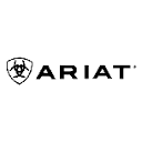 ariat.com is down right now today?