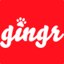 gingrapp.com is down right now today?